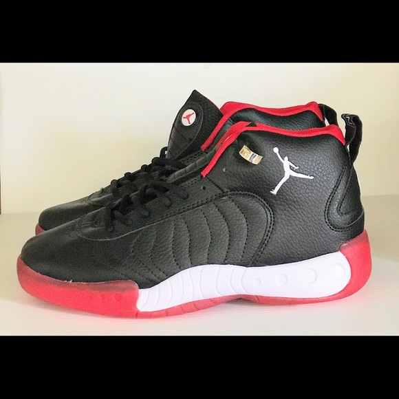 Other - Jordan 12 retro